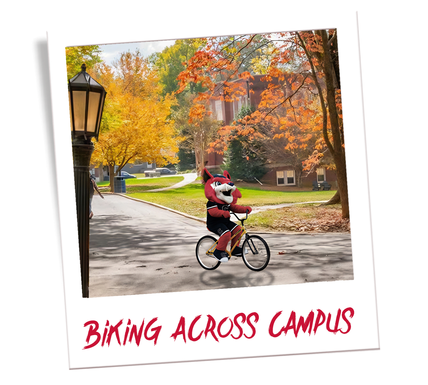 Blue riding a bicycle on Catawba's campus