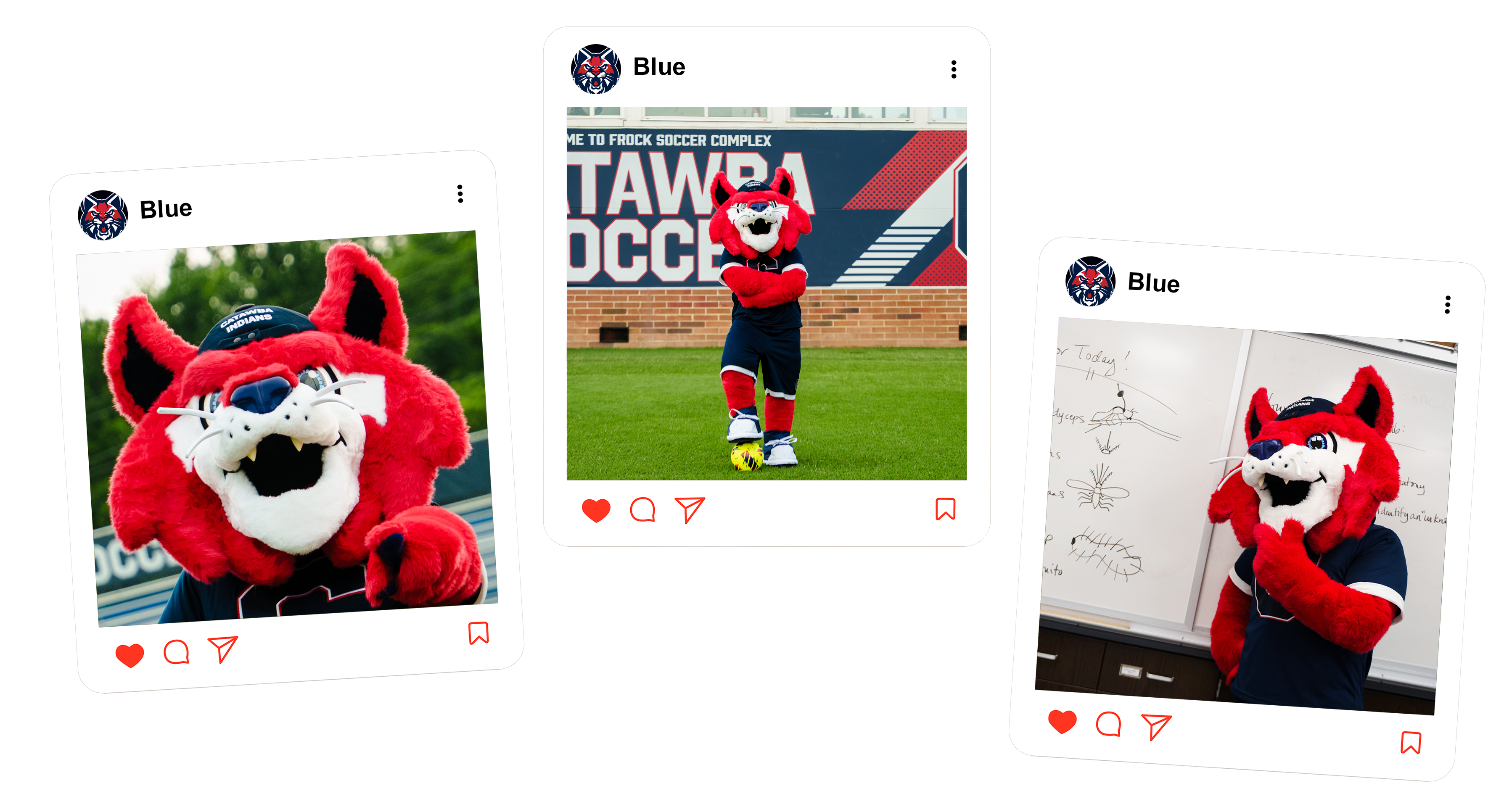 Social Media Post of Blue on the Soccer Field