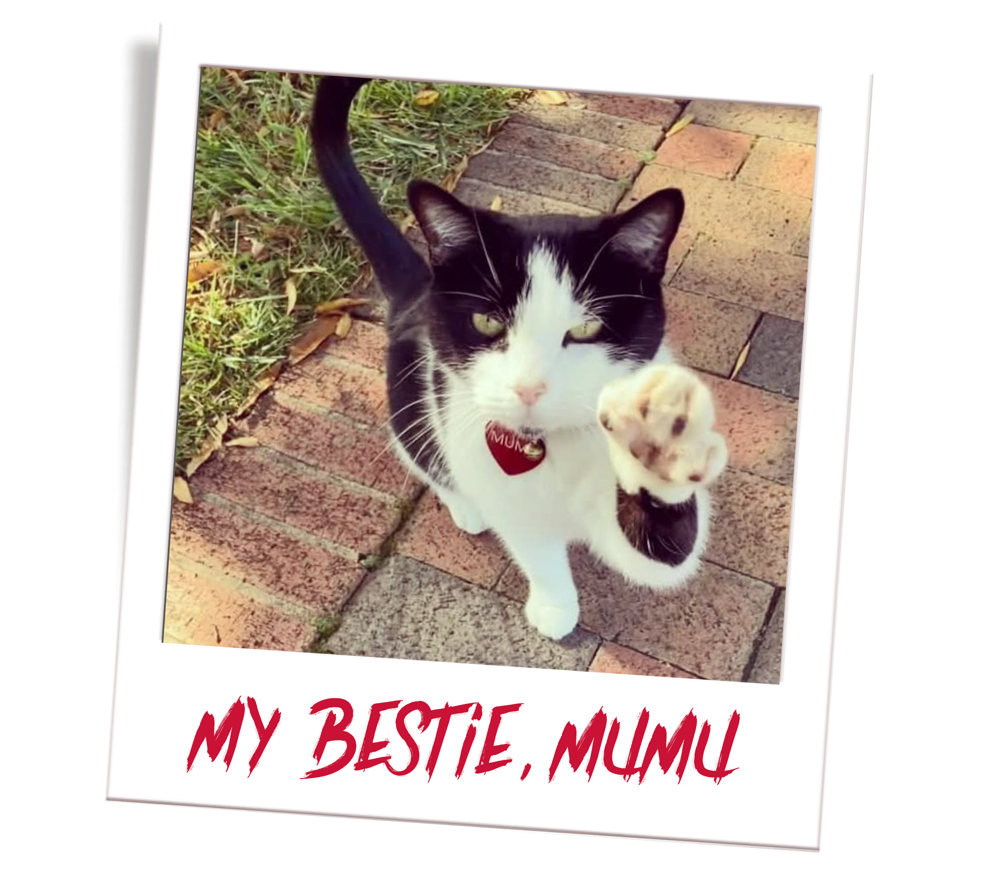 Mumu