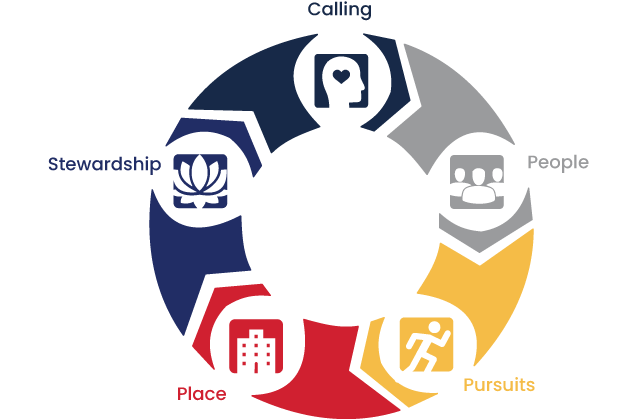 Strategic AIMS