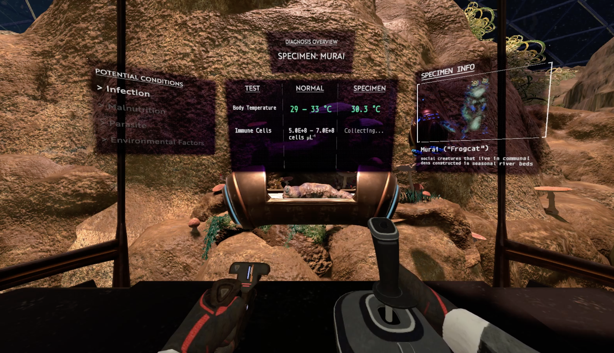 Dreamscape Learns Frogcat Testing