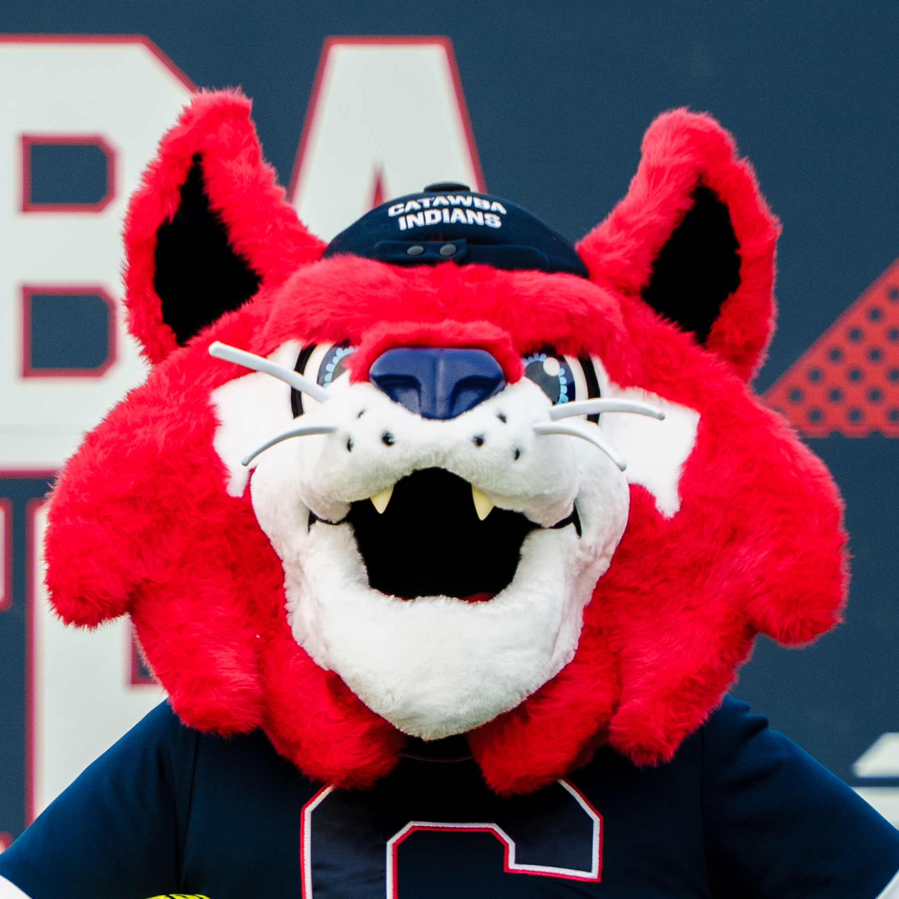 Blue (Mascot)