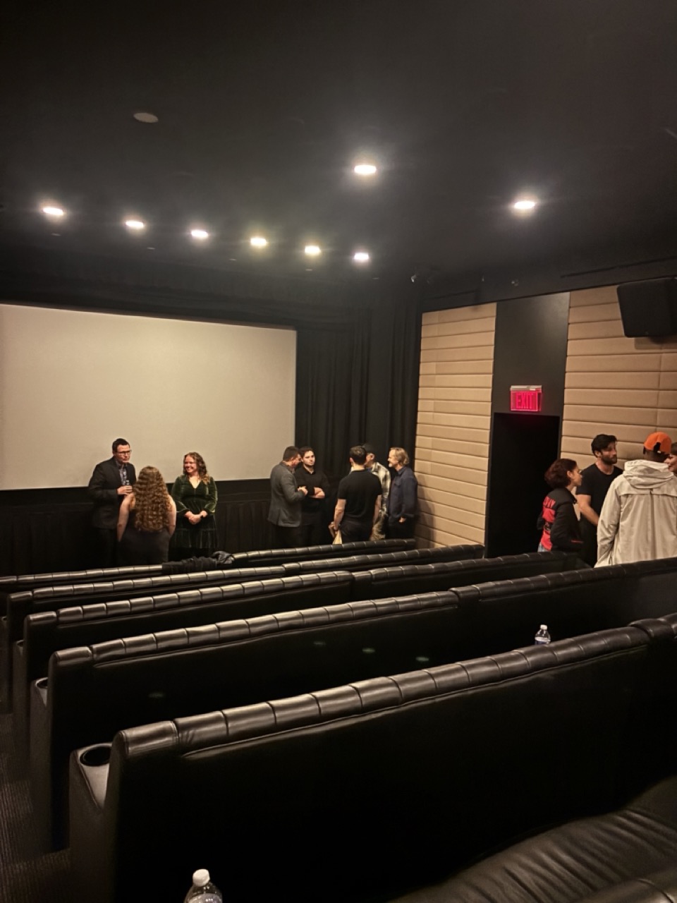 Aaron Daniel Annas - Screening