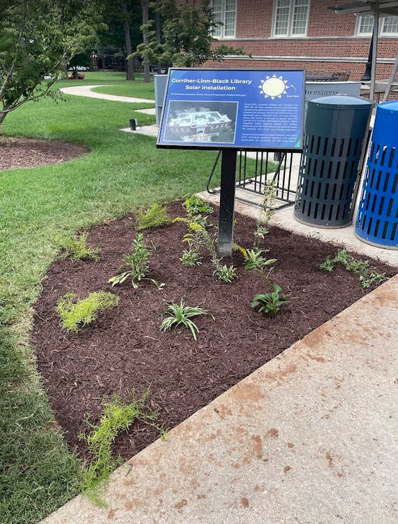 CLB POLLINATION STATION