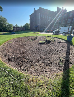 Plaza Pollinator Garden