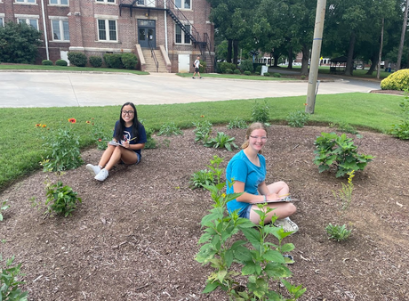 Plaza Pollinator Garden