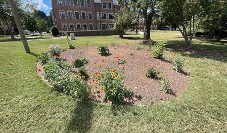 Plaza Pollinator Garden