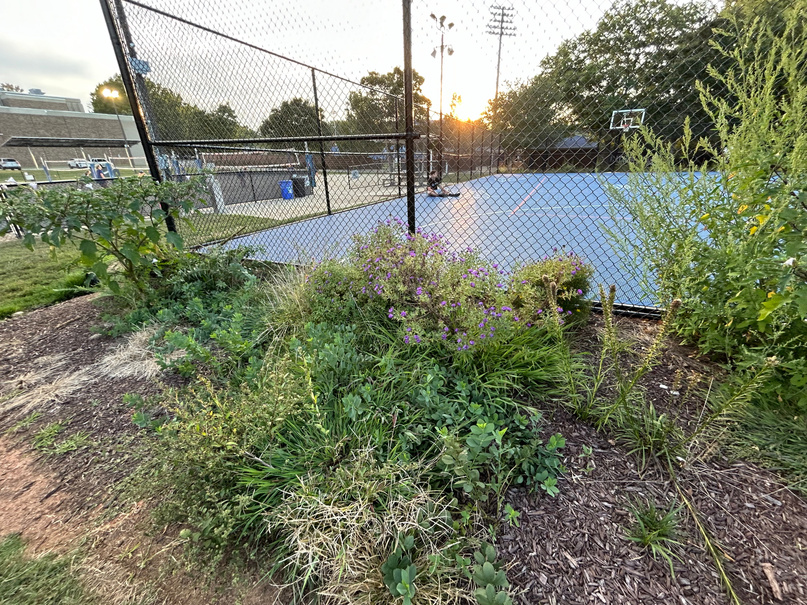 Pridgen Pollinator Place