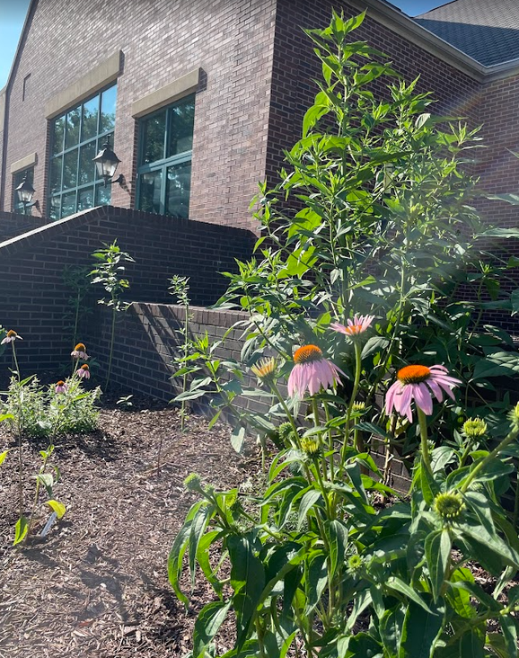 Student Affairs Edible Pollinator Buffet