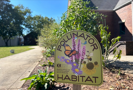Student Affairs Edible Pollinator Buffet