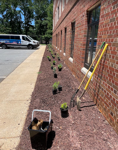 Shuford Pollinator Lab