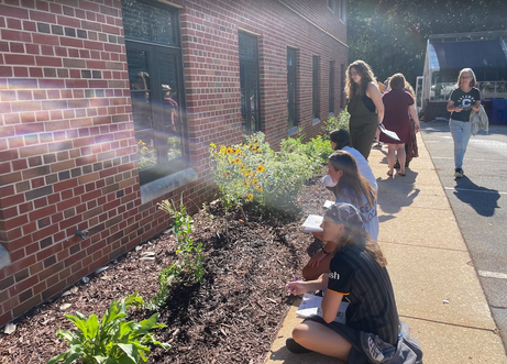 Shuford Pollinator Lab