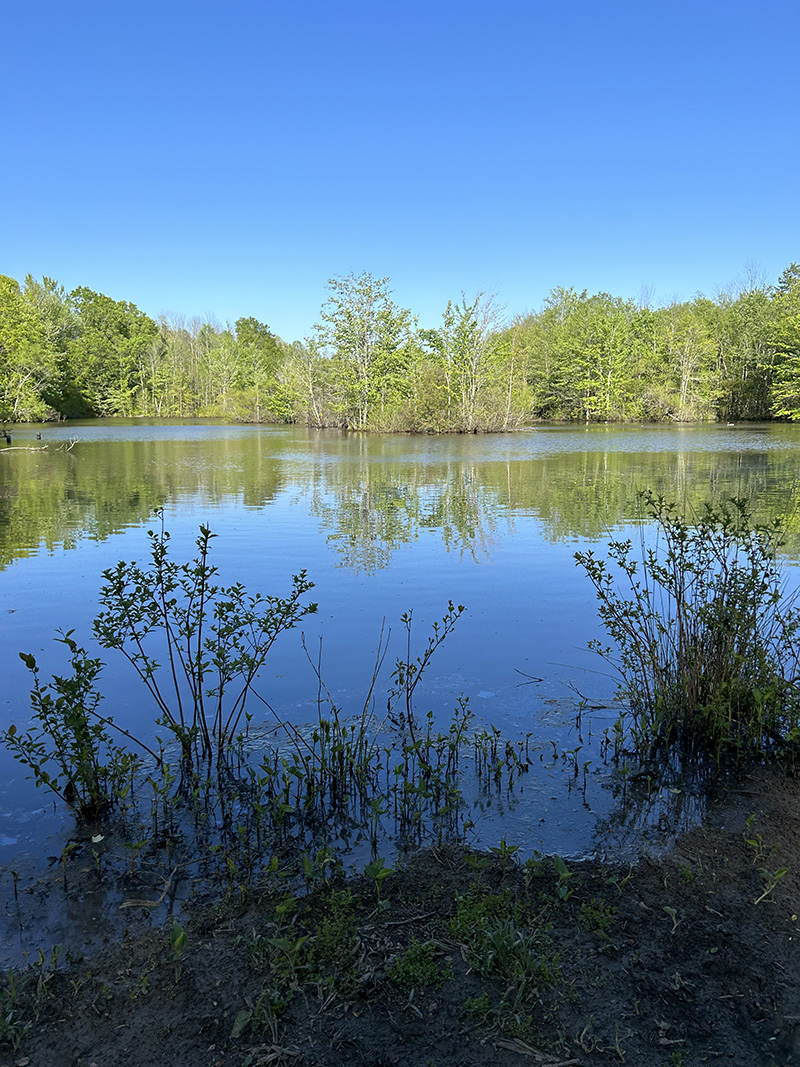 Catawba College Ecological Preserve