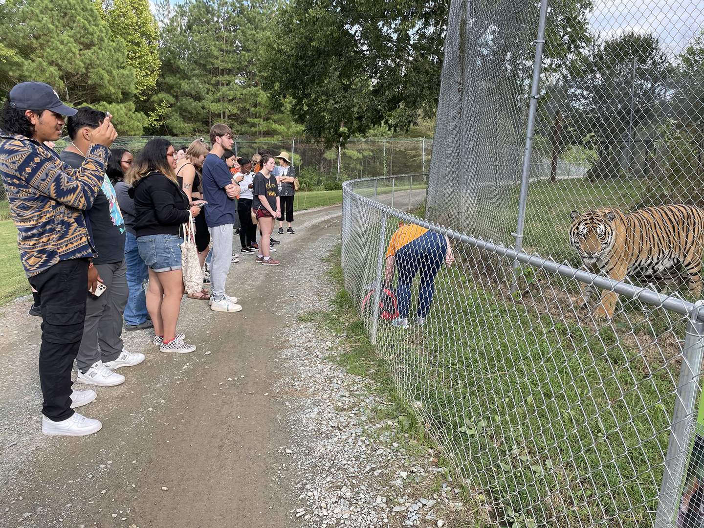 Tiger Rescue