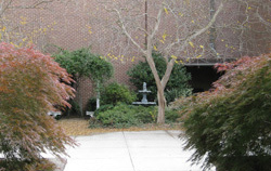 Brady Courtyard