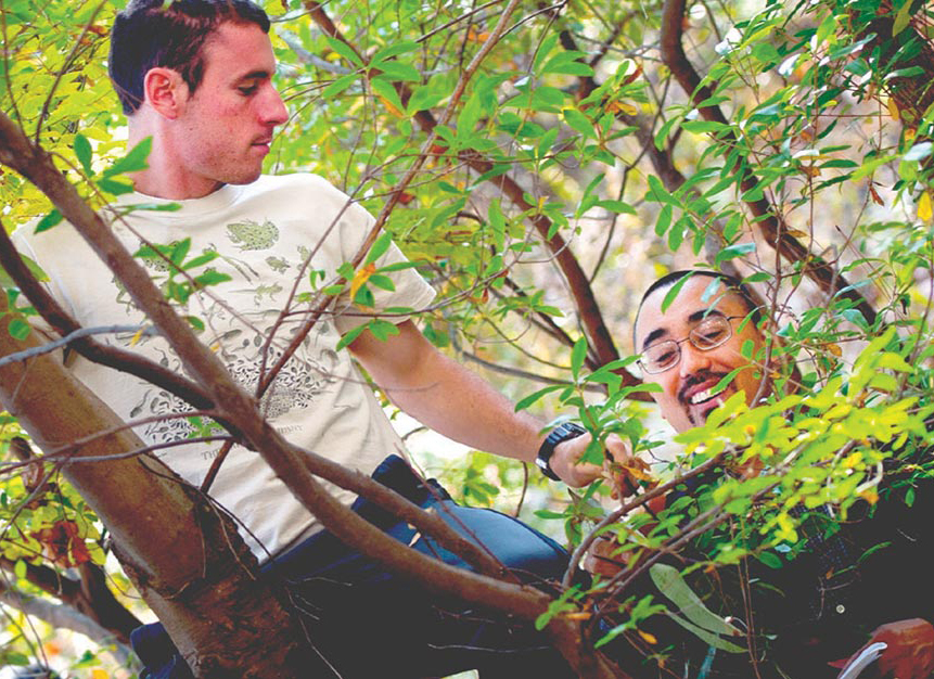 Environment and Sustainability Student in Tree on preserve