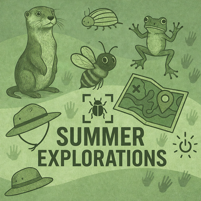 Summer Explorations