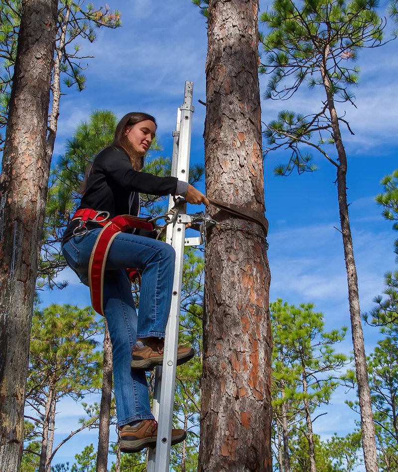 Catawba Student in Forestry Program safely climbing tree